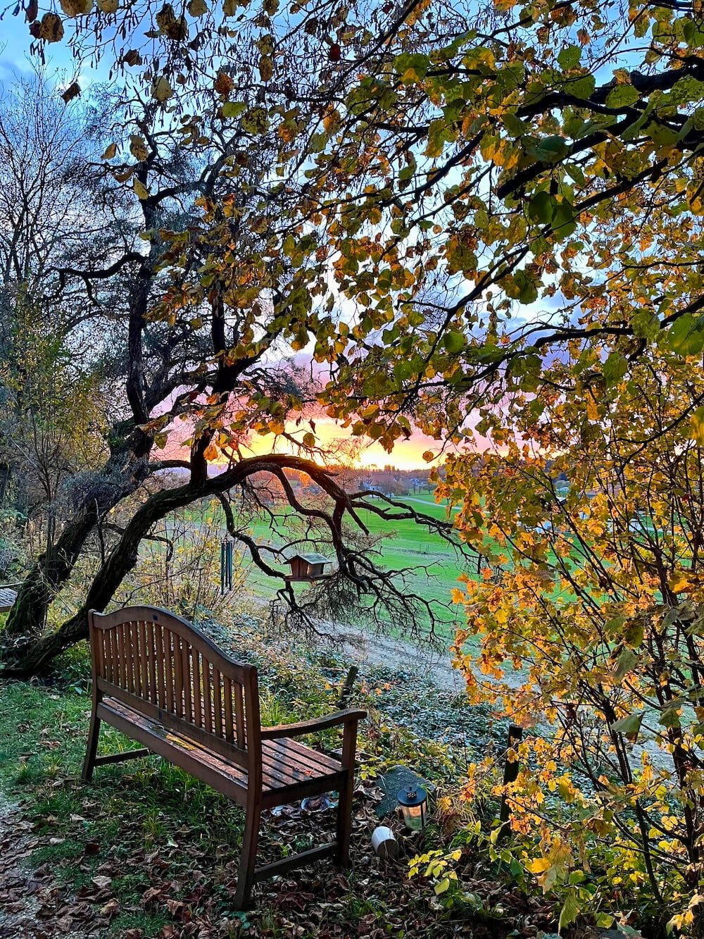 Weitläufiger Garten des Himmelreich mit Blick auf den Bodensee und Bergpanorama im Hintergrund