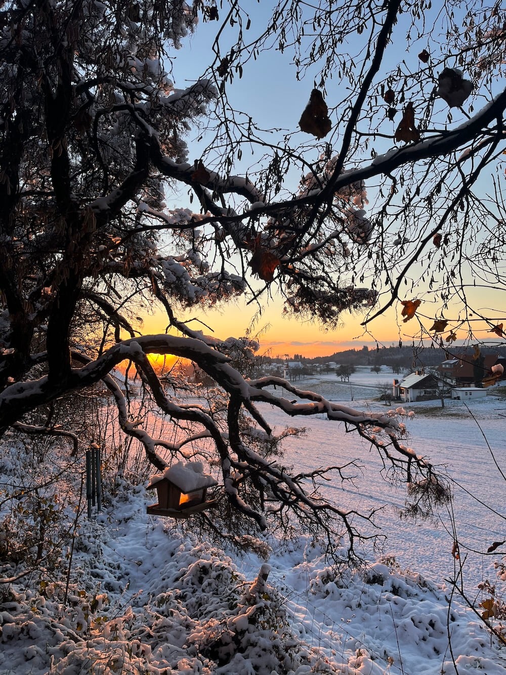Frühlingshafter Garten mit blühenden Bäumen und entspannender Atmosphäre